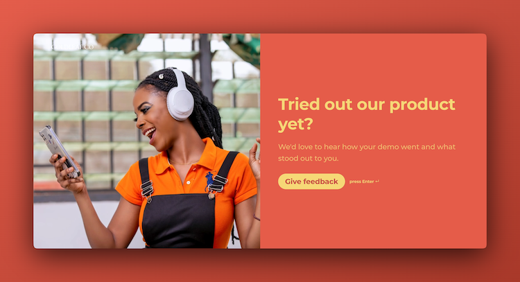 Demo Feedback Form